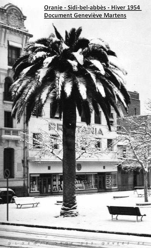 Sidi bel abbes hiver 1954  (10) de Genevieve Martens.jpg